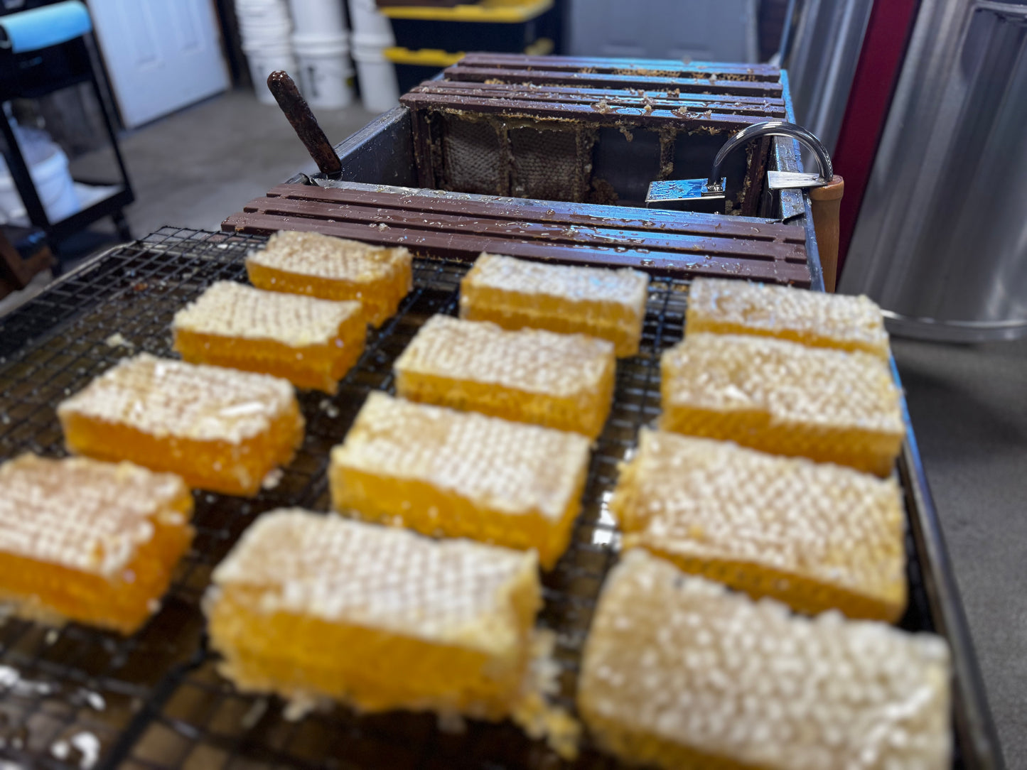 Bohemia Bee Raw Wildflower Cut Comb Honey 2x4 piece (2025 Warwick MD)