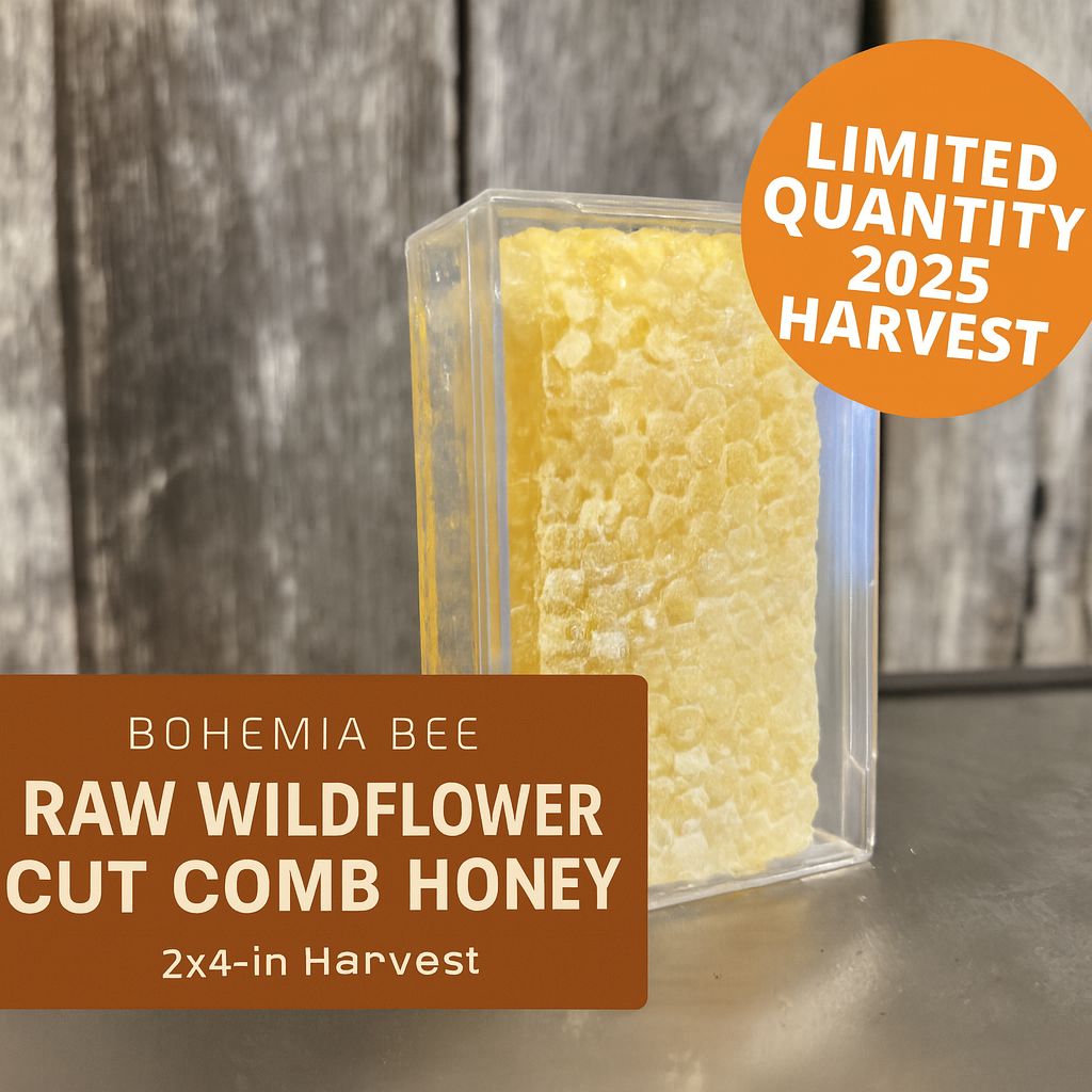 Bohemia Bee Raw Wildflower Cut Comb Honey 2x4 piece (2025 Warwick MD)