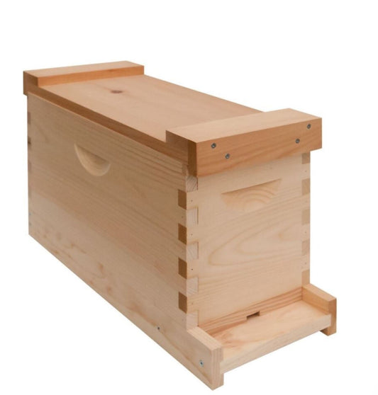 5 Frame Nucleus hive setup