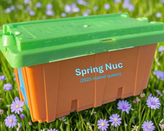 5 Frame Nucleus Colony with SPRING 2025 Mated Queen – approx. MAY 2025 PICKUP