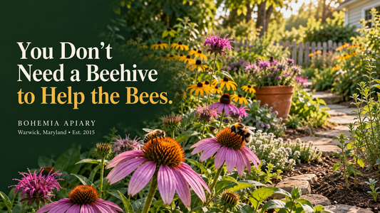 You Don’t Need a Beehive to Help the Bees
